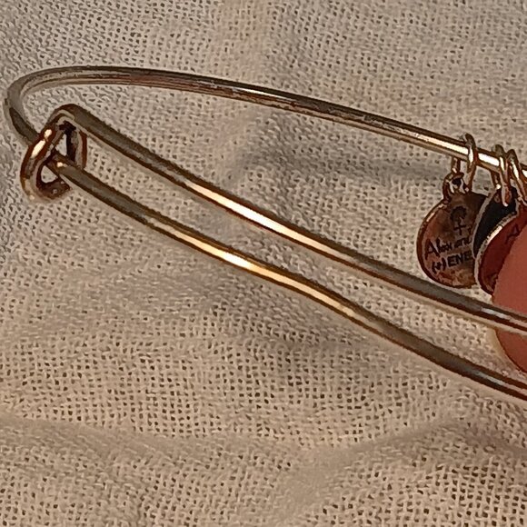 Alex and Ani lot of 9 bangle bracelets silver & brass tones + 1 Footnotes - Picture 12 of 16